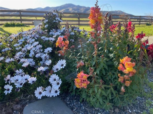 4100 County Road 306, Orland, CA 95963