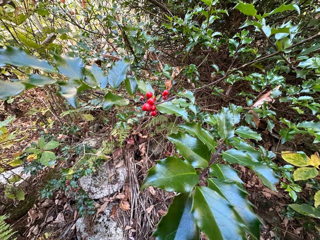 1502 US Route 2, Randolph, NH 03593