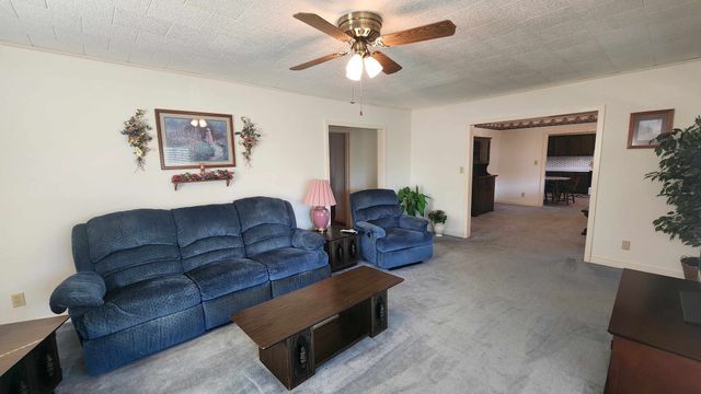 214 Dont Care Ln, Celina, TN 38551