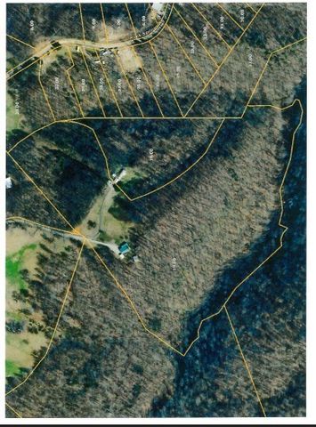 214 Dont Care Ln, Celina, TN 38551