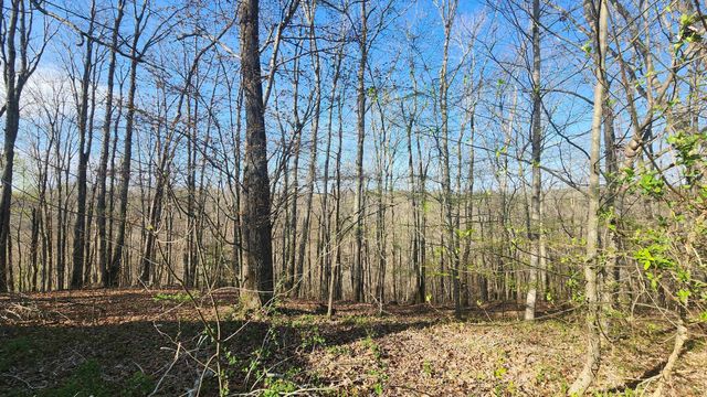 214 Dont Care Ln, Celina, TN 38551