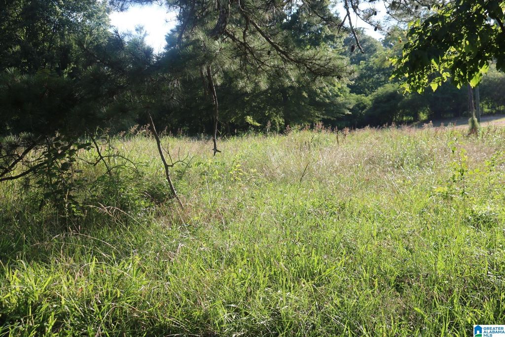 174 POPLAR SPRINGS DRIVE, Sylvan Springs, AL 35118