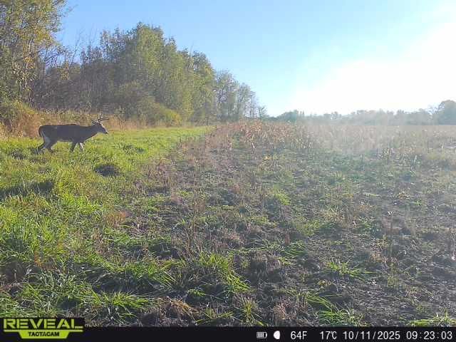 3231 Highway 65, Mora, MN 55051