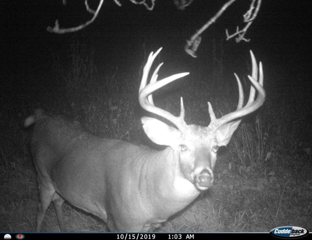 3231 Highway 65, Mora, MN 55051