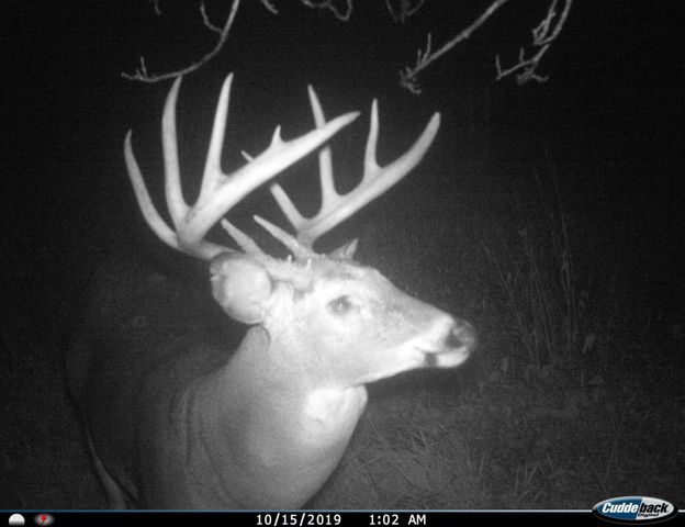 3231 Highway 65, Mora, MN 55051