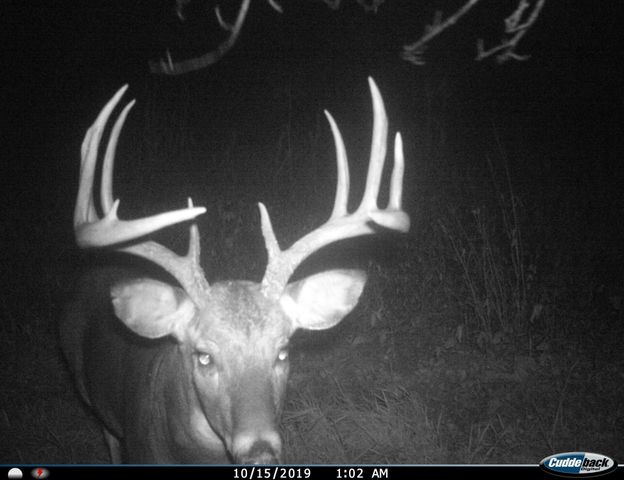 3231 Highway 65, Mora, MN 55051