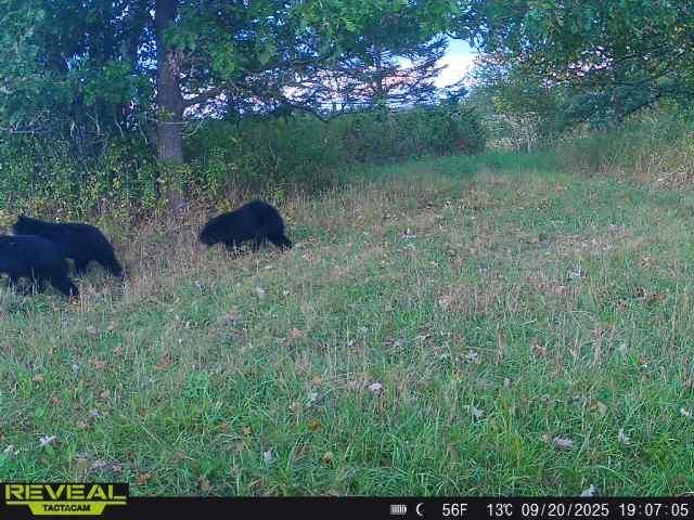 3231 Highway 65, Mora, MN 55051