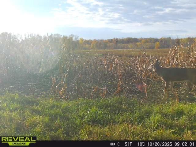 3231 Highway 65, Mora, MN 55051