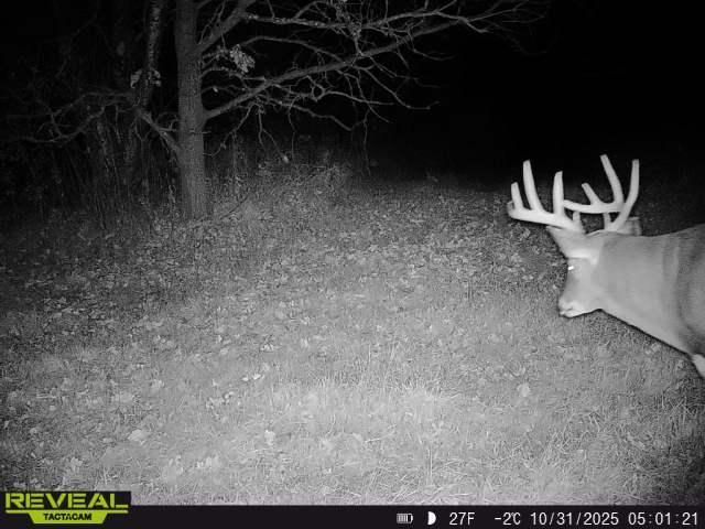 3231 Highway 65, Mora, MN 55051