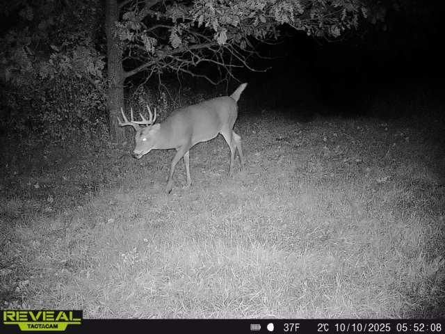 3231 Highway 65, Mora, MN 55051