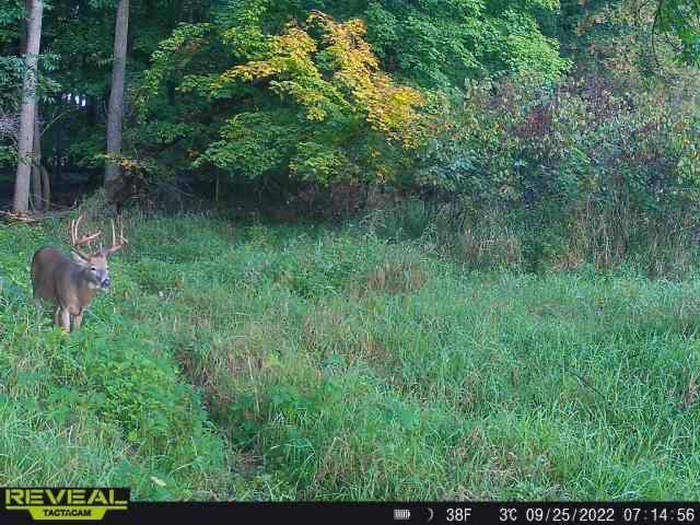 3231 Highway 65, Mora, MN 55051