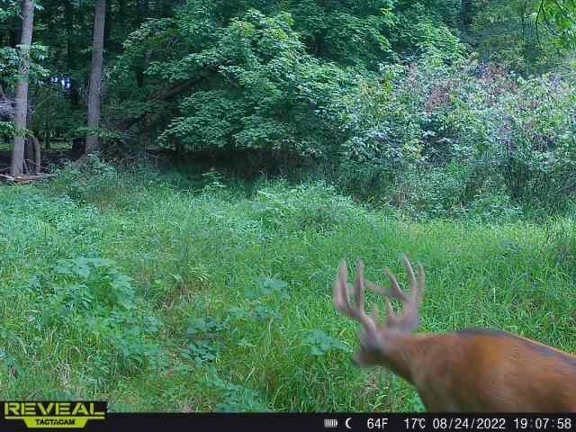 3231 Highway 65, Mora, MN 55051