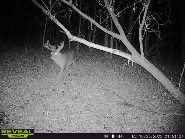 3231 Highway 65, Mora, MN 55051