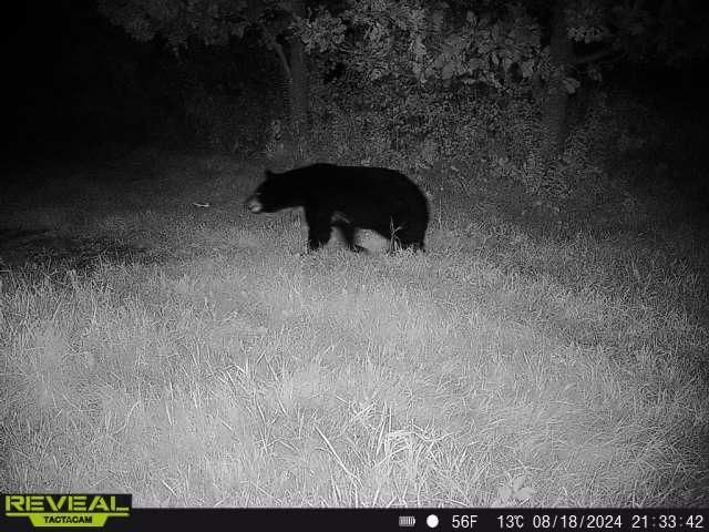 3231 Highway 65, Mora, MN 55051