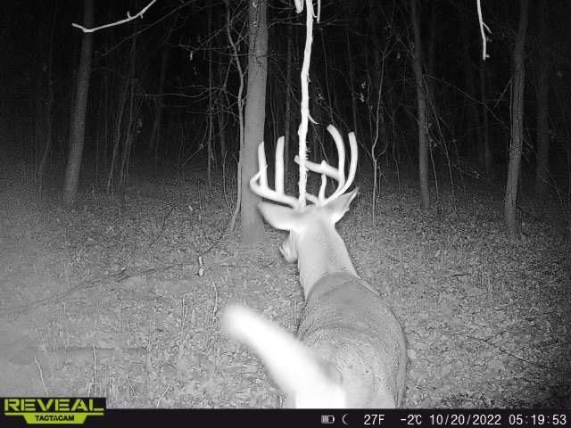 3231 Highway 65, Mora, MN 55051