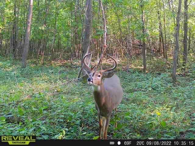 3231 Highway 65, Mora, MN 55051