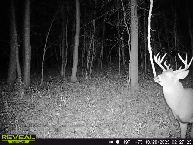 3231 Highway 65, Mora, MN 55051