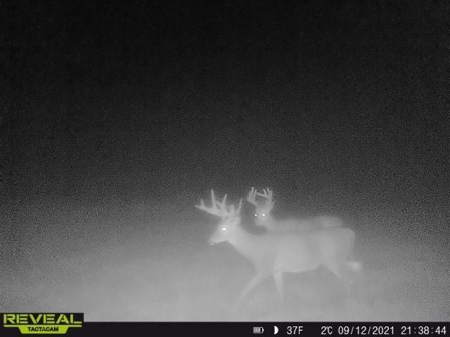 3231 Highway 65, Mora, MN 55051