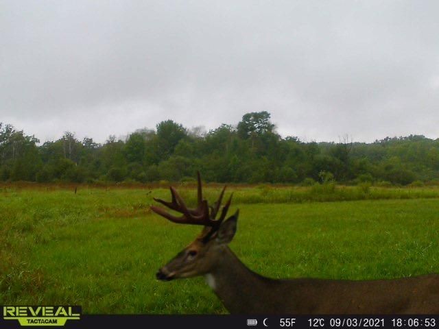 3231 Highway 65, Mora, MN 55051