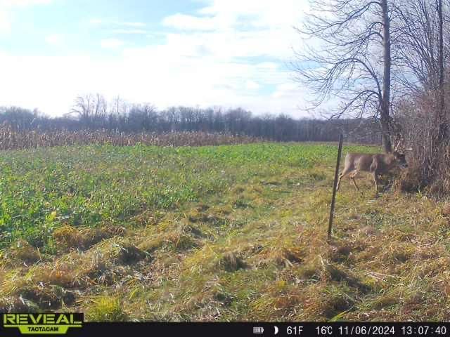 3231 Highway 65, Mora, MN 55051