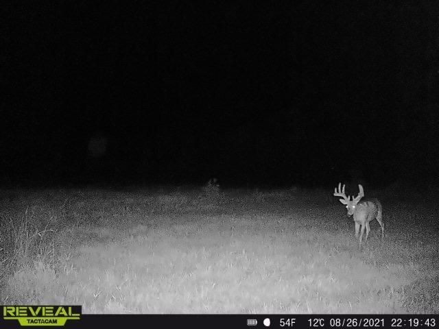 3231 Highway 65, Mora, MN 55051