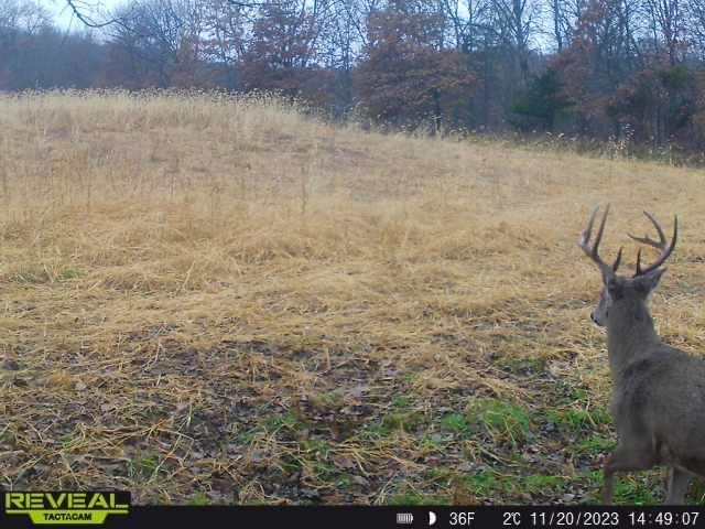 3231 Highway 65, Mora, MN 55051