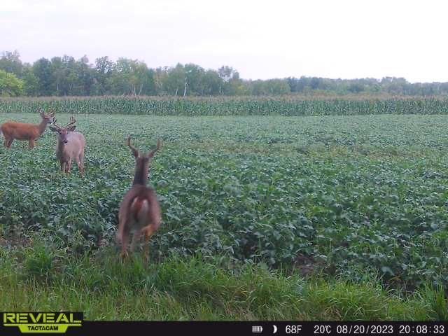 3231 Highway 65, Mora, MN 55051