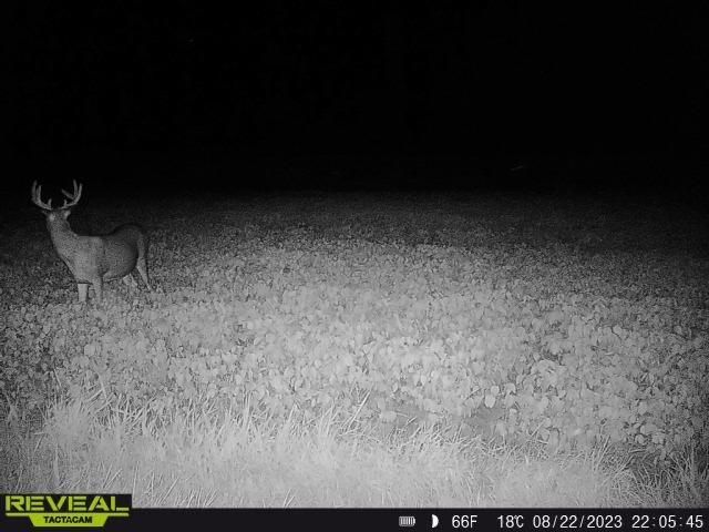 3231 Highway 65, Mora, MN 55051