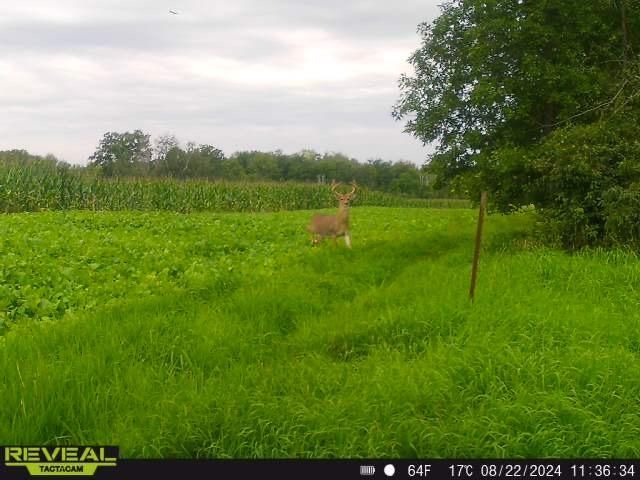 3231 Highway 65, Mora, MN 55051