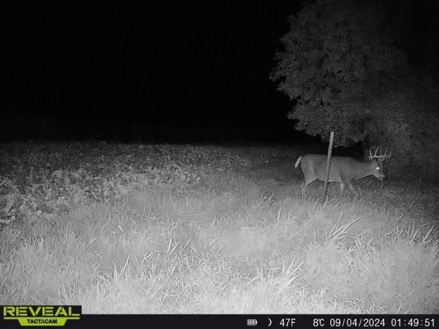 3231 Highway 65, Mora, MN 55051