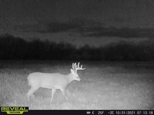 3231 Highway 65, Mora, MN 55051