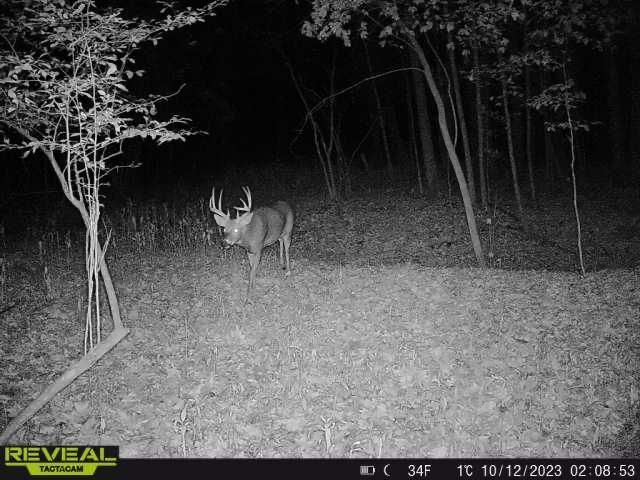 3231 Highway 65, Mora, MN 55051