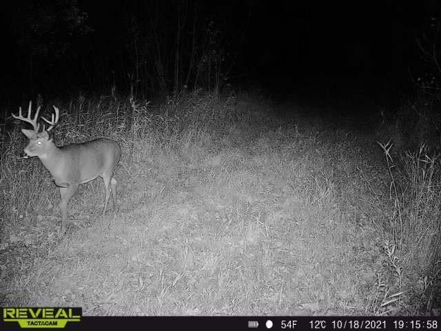 3231 Highway 65, Mora, MN 55051