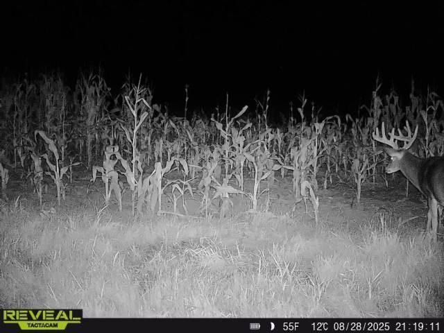 3231 Highway 65, Mora, MN 55051