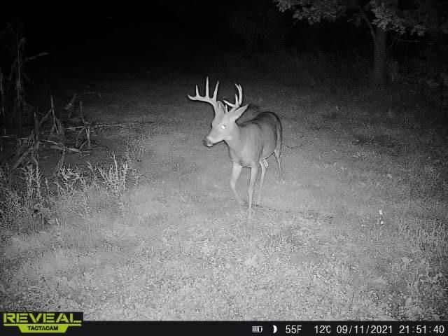 3231 Highway 65, Mora, MN 55051