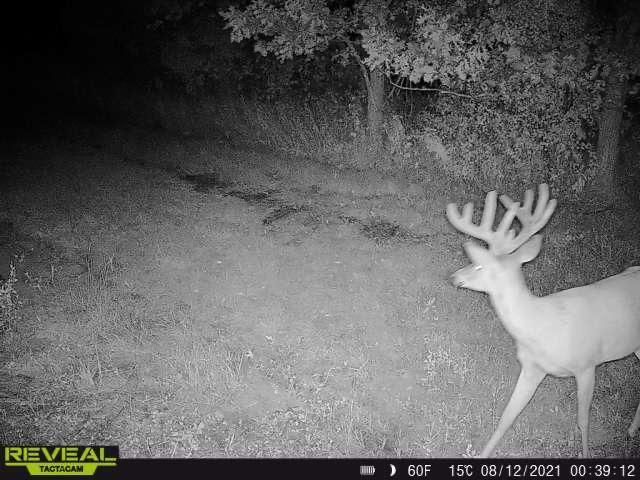 3231 Highway 65, Mora, MN 55051