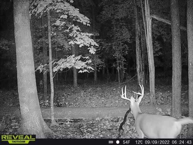 3231 Highway 65, Mora, MN 55051