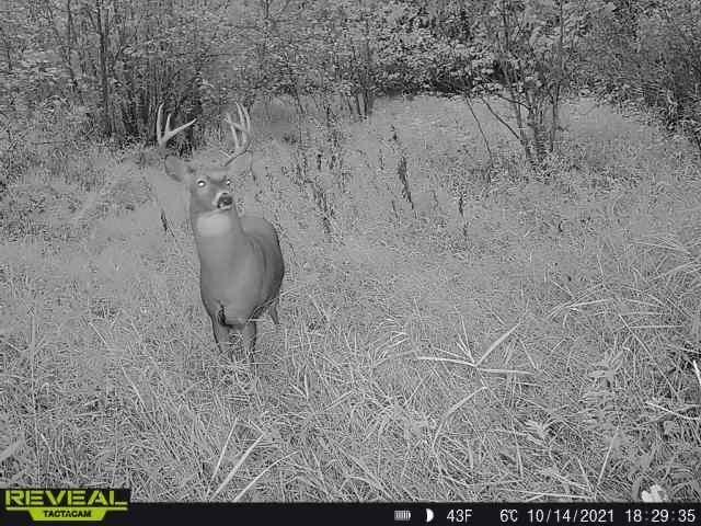 3231 Highway 65, Mora, MN 55051