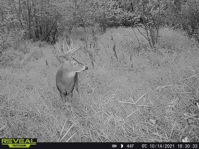 3231 Highway 65, Mora, MN 55051