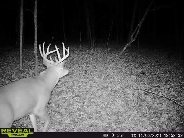 3231 Highway 65, Mora, MN 55051