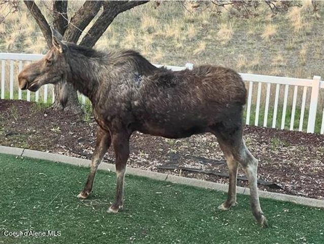 6011 E JOSEPH LN, Spokane, WA 99217