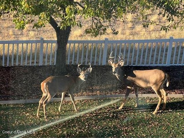 6011 E JOSEPH LN, Spokane, WA 99217