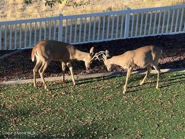 6011 E JOSEPH LN, Spokane, WA 99217