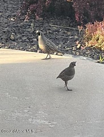 6011 E JOSEPH LN, Spokane, WA 99217