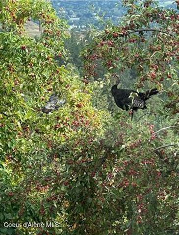 6011 E JOSEPH LN, Spokane, WA 99217