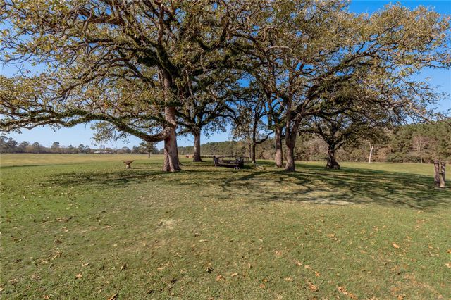 5316 N Sh 19 N, Trinity, TX 75862