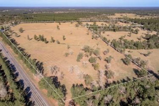 5316 N Sh 19 N, Trinity, TX 75862