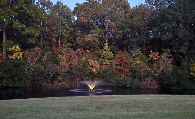 1484 Old Rosebud Trail, Awendaw, SC 29429