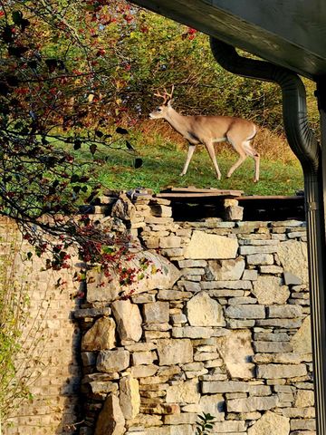 1640 Ramblewood Dr, Lewisburg, TN 37091