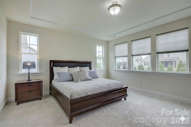 17204 Saranita Lane, Charlotte, NC 28278